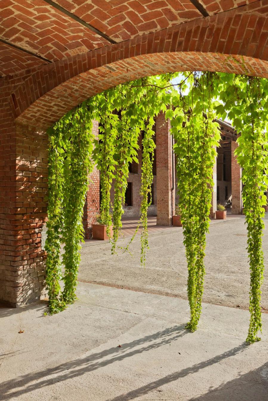 Marchesi Incisa Winery Lodge Rocchetta Tanaro Kültér fotó